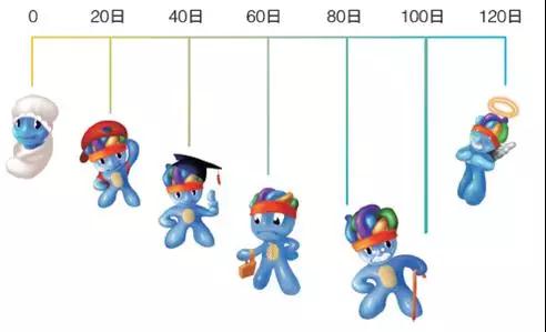 紅細(xì)胞壽命測(cè)定有助于血糖監(jiān)控效果的精準(zhǔn)評(píng)估1